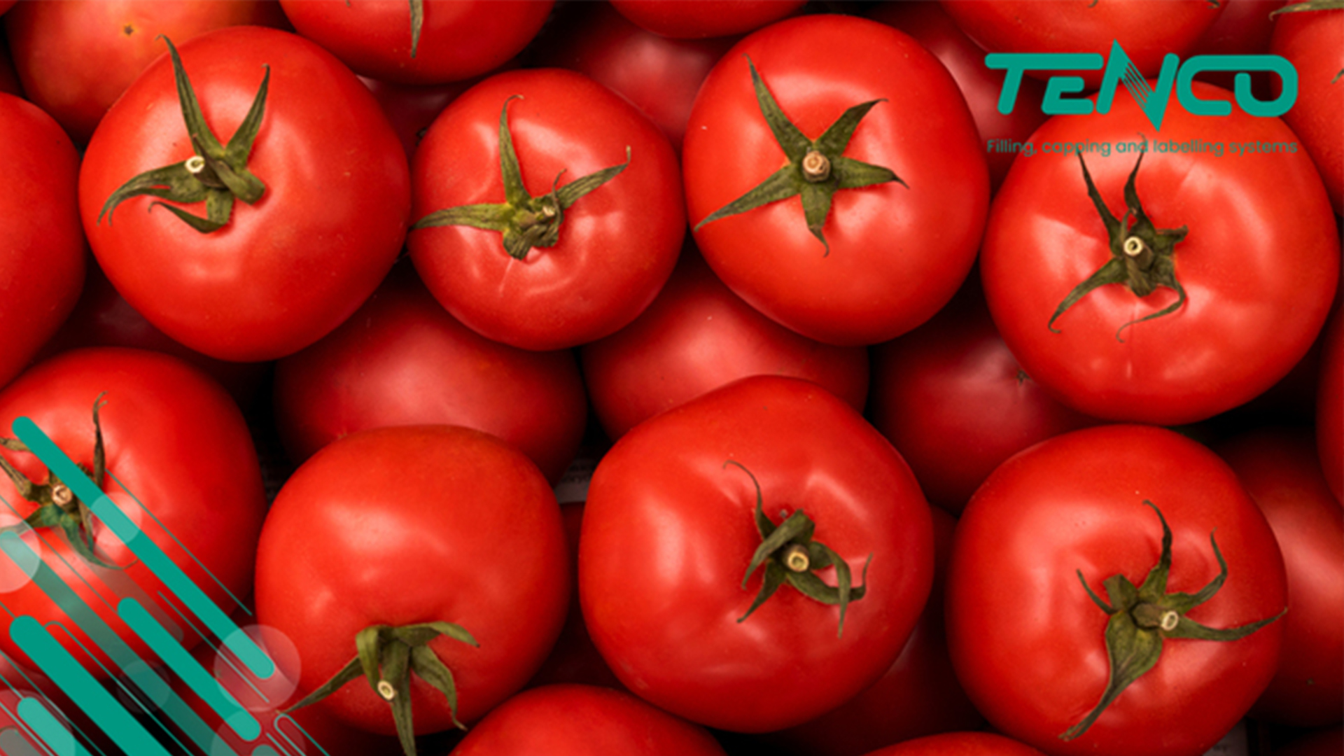Ghid Tehnic pentru Îmbutelierea și Ambalarea Sosului de Tomate: Soluții Profesionale Tenco per Recipient