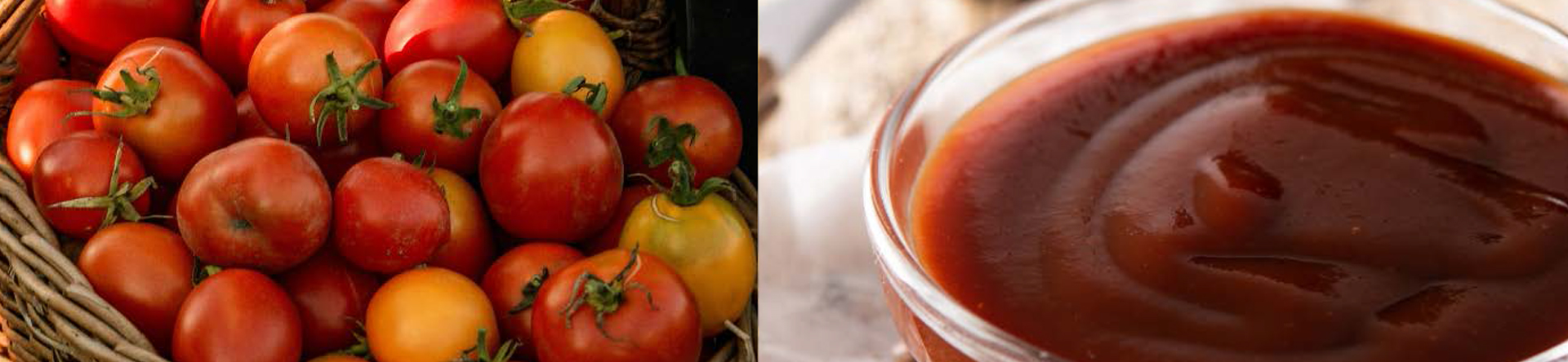 Ketchup_header FOODLINES | Automatizarea Producției Industriale de Ketchup: Standardizare și Eficiență cu Tehnologia Limitech